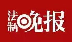 繁昌新闻大爆料电话,揭秘热线背后的精彩故事