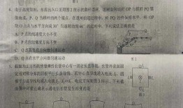 肥妈最近爆料视频是真的吗,肥妈爆料视频真实性引发热议