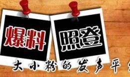 今年财运爆料新闻,最新爆料揭示年度财富运势趋势
