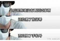 陈晓被谁爆料了啊图片视频,图片视频揭露惊人真相