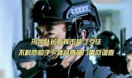 刑警爆料歹徒事件视频,歹徒事件视频曝光，惊心动魄瞬间还原