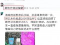 香港娱记爆料周海媚视频,香港娱记独家爆料引发热议