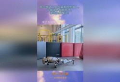 爆料机器怎么做视频,如何轻松制作视频内容