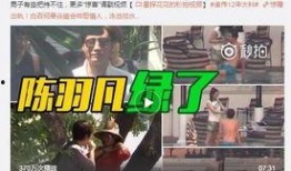 韩婧格视频爆料是真的吗,韩婧格视频爆料真实性揭秘