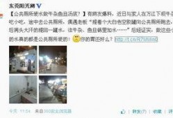 东莞爆料最新消息,揭秘城市热点事件背后的真相