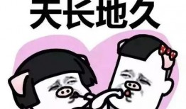 娱乐圈的吃瓜闺蜜组,揭秘幕后故事与情感纠葛