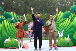 大连爆料老船长视频最新,老船长揭秘航运业内幕，震撼视频引发热议