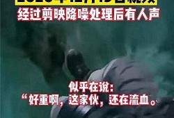 延边名门爆料事件视频,揭秘事件背后真相