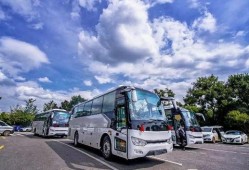 今日娱乐爆料早班车