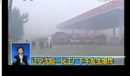 沈阳爆料事件最新进展,真相逐步浮出水面