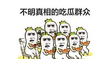 吃瓜群众娱乐大百科视频